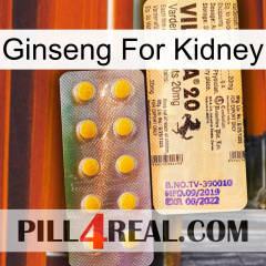 Ginseng For Kidney new06